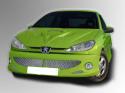 Motorkap ''Cobra'' voor de Peugeot 206