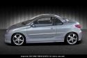Zijlijsten ''Exception'' voor de Peugeot 206