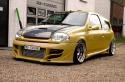Zijlijsten voor de Renault Clio 2.