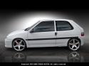 Zijlijsten ''T-Rex'' voor de Citroen Saxo 2000