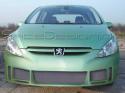 Voorbumper ''Edition 1'' voor de Peugeot 307